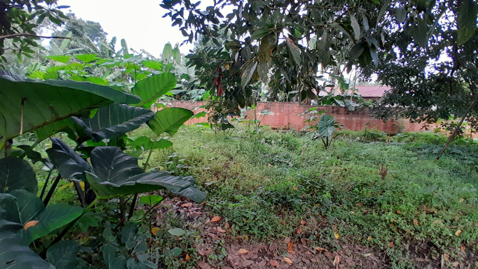 Plot for Sale in Musanze House in Rwanda